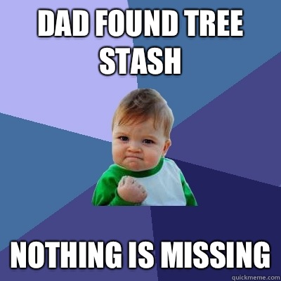 Dad found tree stash Nothing is missing - Dad found tree stash Nothing is missing  Success Kid