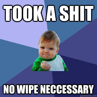 Took a shit No wipe neccessary  Success Kid