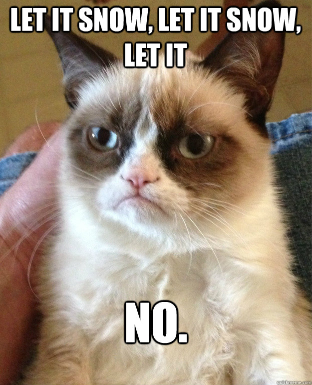 Let it snow, let it snow, let it No.  Grumpy Cat