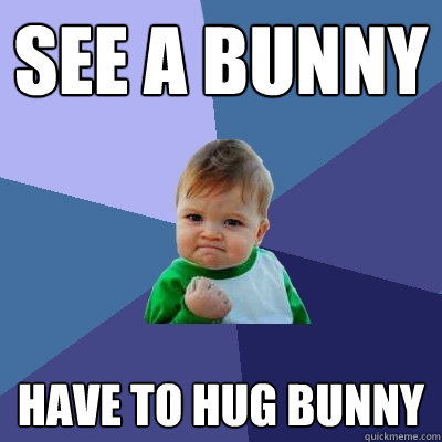 see a bunny Have to hug bunny  Success Kid