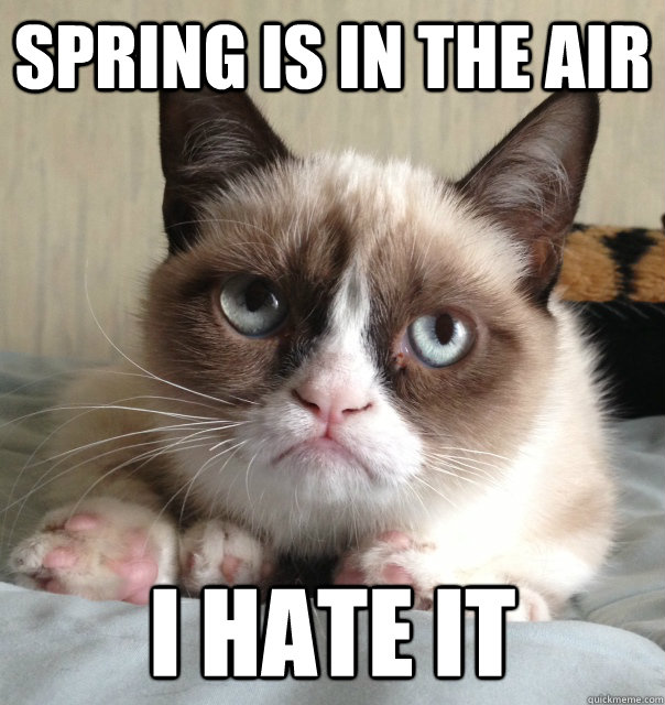 SPRING IS IN THE AIR I HATE IT - SPRING IS IN THE AIR I HATE IT  Australia Day Grumpy Cat