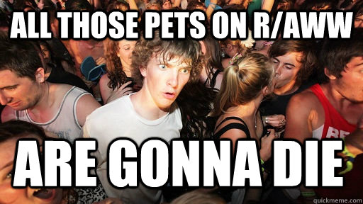 all those pets on r/aww are gonna die  Sudden Clarity Clarence