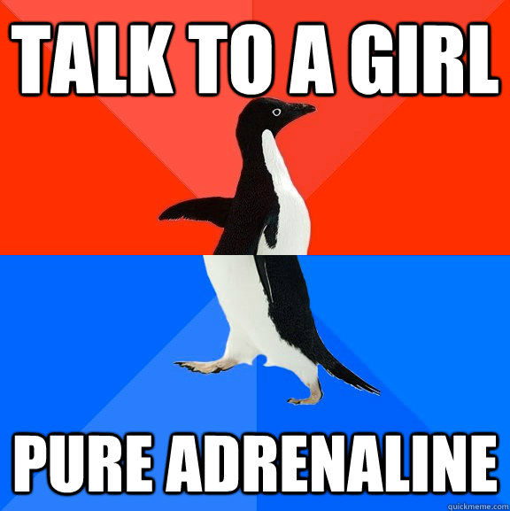 talk to a girl pure adrenaline  Awesome Awkward Penguin