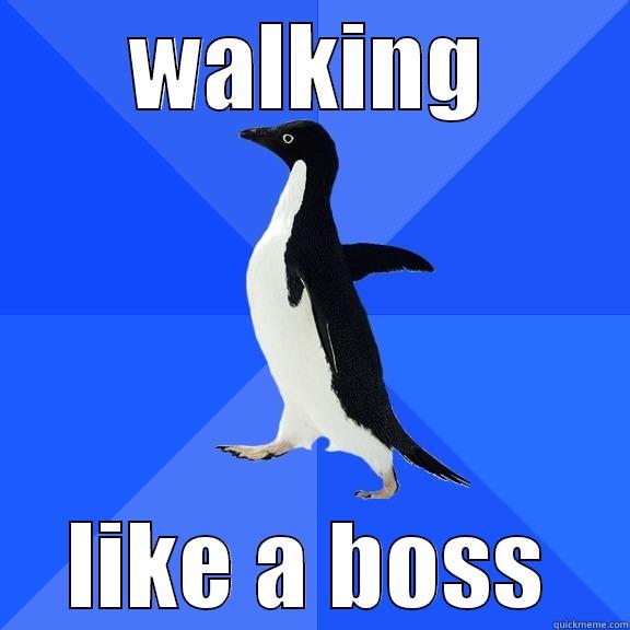 WALKING LIKE A BOSS Socially Awkward Penguin