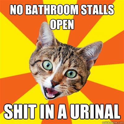 No bathroom stalls open shit in a urinal   Bad Advice Cat