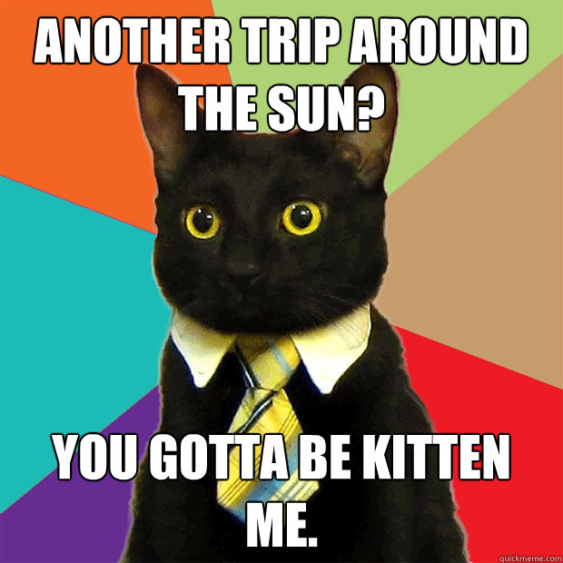 another trip around the sun? you gotta be kitten me.  Business Cat