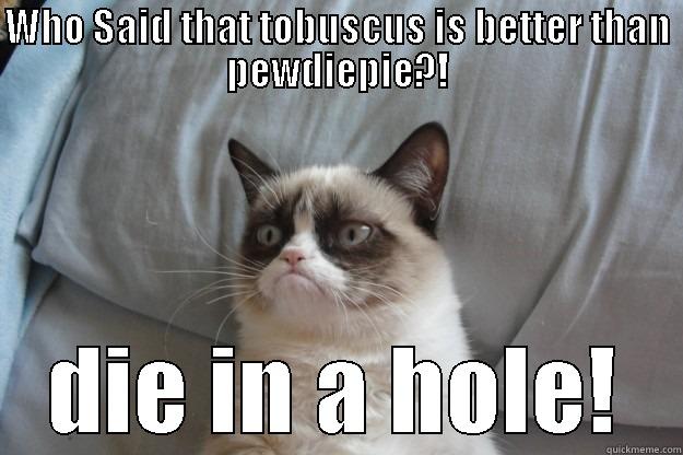 WHO SAID THAT TOBUSCUS IS BETTER THAN PEWDIEPIE?! DIE IN A HOLE! Grumpy Cat