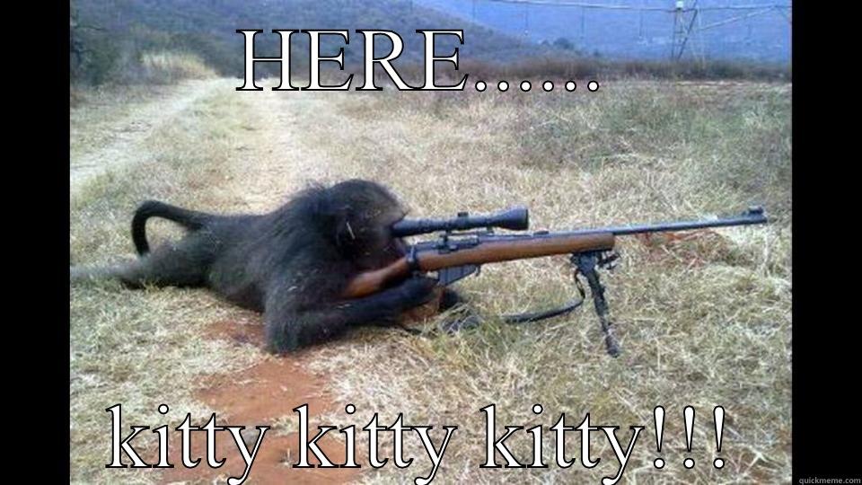 HERE...... KITTY KITTY KITTY!!! Misc