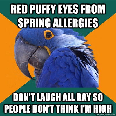 red puffy eyes from spring allergies don't laugh all day so people don't think i'm high - red puffy eyes from spring allergies don't laugh all day so people don't think i'm high  Paranoid Parrot