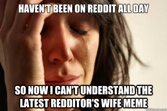 Haven't been on reddit all day so now I can't understand the latest redditor's wife meme  First World Problems
