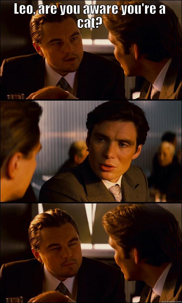 LEO, ARE YOU AWARE YOU'RE A CAT?  Inception