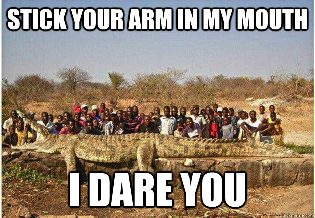stick your arm in my mouth  i dare you  - stick your arm in my mouth  i dare you   giant alligator