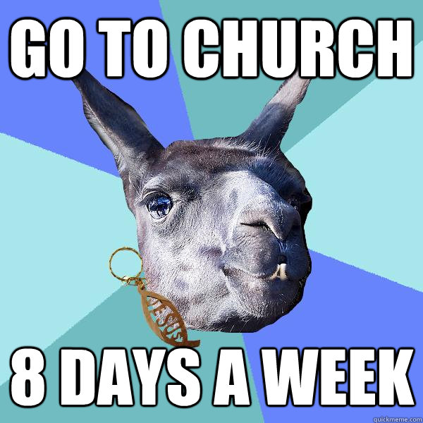 Go to church 8 days a week  Christian Mama Llama