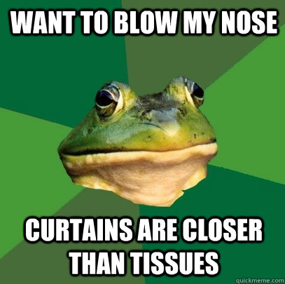 Want to blow my nose Curtains are closer than tissues  Foul Bachelor Frog