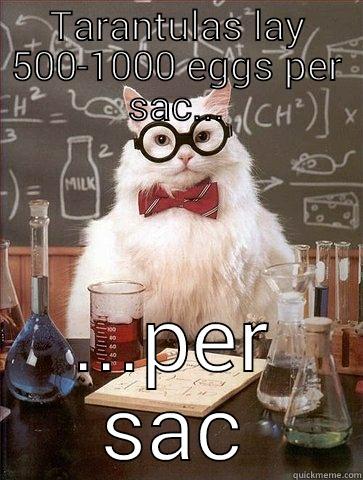 TARANTULAS LAY 500-1000 EGGS PER SAC... ...PER SAC Chemistry Cat