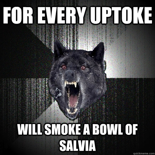 For every uptoke will smoke a bowl of salvia  Insanity Wolf