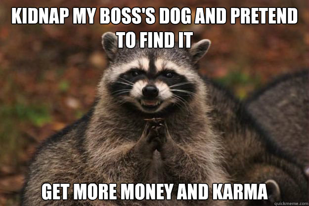 kidnap my boss's dog and pretend to find it get more money and karma  Evil genius racoon
