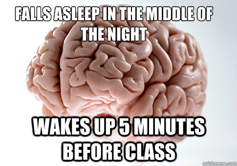 Falls asleep in the middle of the night Wakes up 5 minutes before class  Scumbag Brain