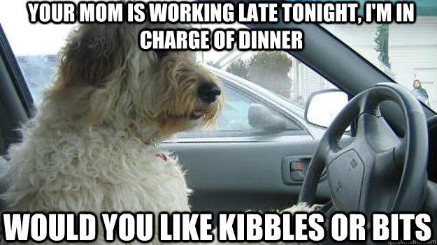 Your mom is working late tonight, i'm in charge of dinner would you like kibbles or bits  