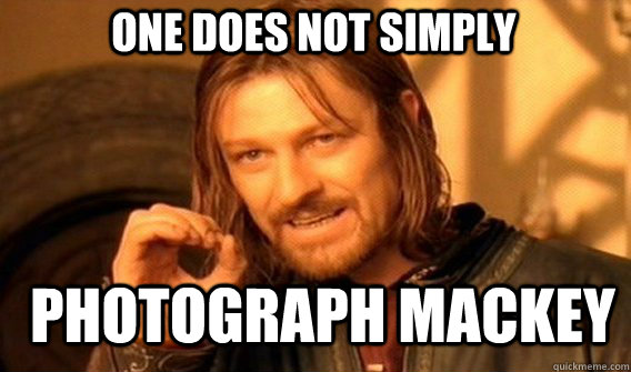 One does not simply photograph mackey  Boromir