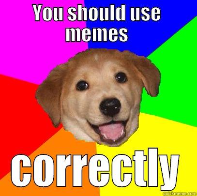 YOU SHOULD USE MEMES CORRECTLY Advice Dog