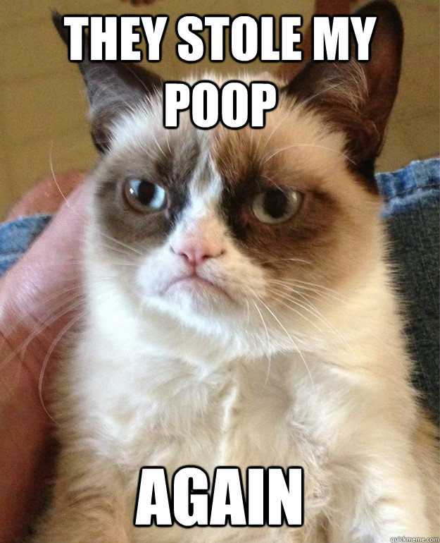 they stole my poop again  cat had fun once