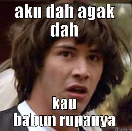 AKU DAH AGAK DAH KAU BABUN RUPANYA conspiracy keanu