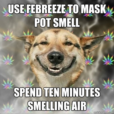 Use febreeze to mask pot smell spend ten minutes smelling air  Stoner Dog