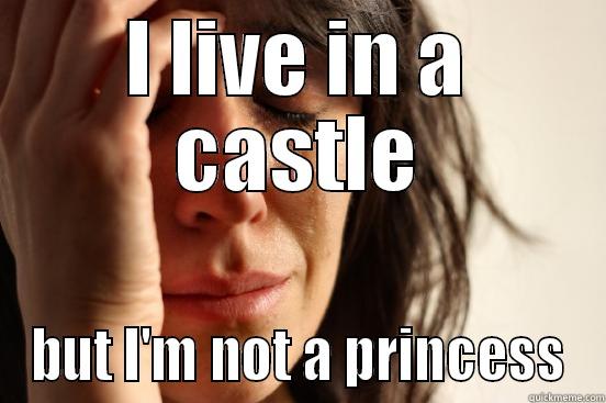 I LIVE IN A CASTLE BUT I'M NOT A PRINCESS First World Problems