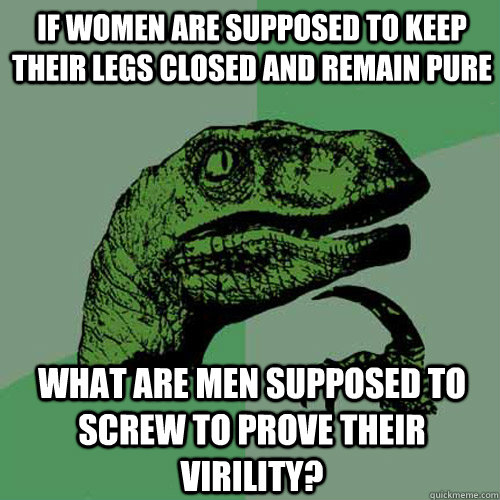 if women are supposed to keep their legs closed and remain pure what are men supposed to screw to prove their virility?  Philosoraptor