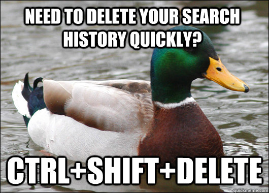 Need to delete your search history quickly? ctrl+shift+delete  Actual Advice Mallard