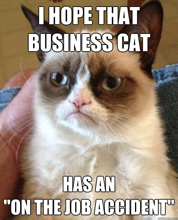 I hope that business cat  has an 
