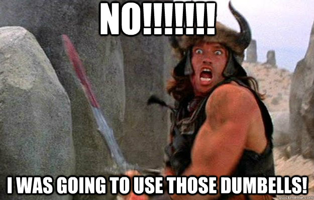 no!!!!!!! I was going to use those dumbells!  Conan