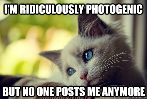 I'm Ridiculously photogenic But no one posts me anymore  First World Cat Problems