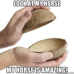 Look at my horse my horse is amazing!  Python Horse