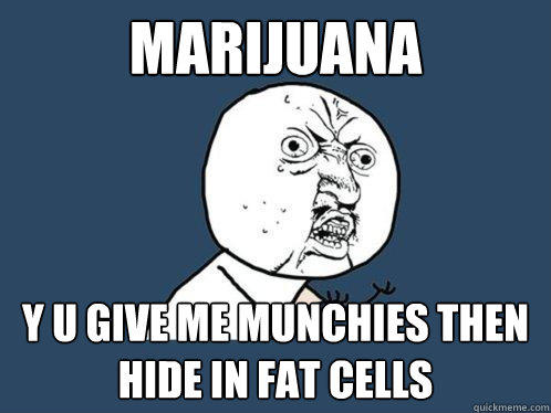 MARIJUANA y u give me munchies then hide in fat cells  Y U No