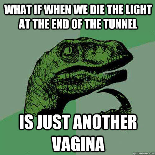 What if when we die the light at the end of the tunnel Is just another vagina  