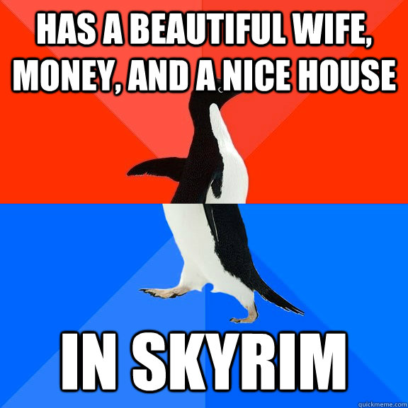 Has a beautiful wife, money, and a nice house In skyrim  Socially Awesome Awkward Penguin