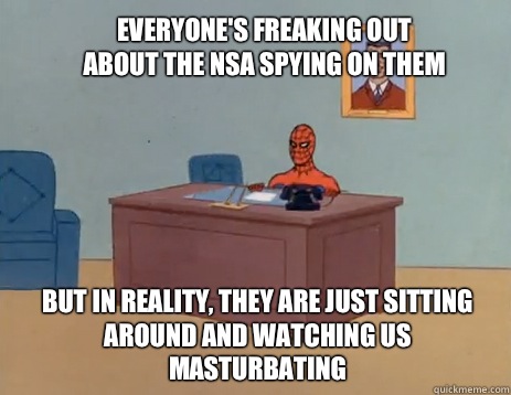 Everyone's freaking out about the NSA spying on them But in reality, they are just sitting around and watching us masturbating  masturbating spiderman