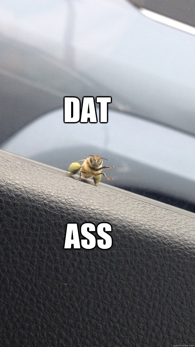 DAT ASS  