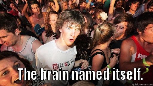      THE BRAIN NAMED ITSELF. Sudden Clarity Clarence