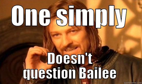 ONE SIMPLY DOESN'T QUESTION BAILEE Boromir