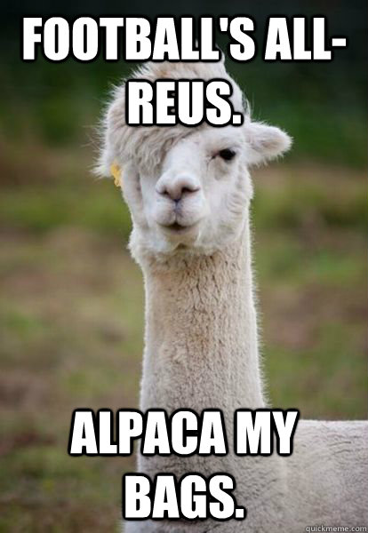 Football's all-Reus. Alpaca my bags. - Football's all-Reus. Alpaca my bags.  alpaca hipster