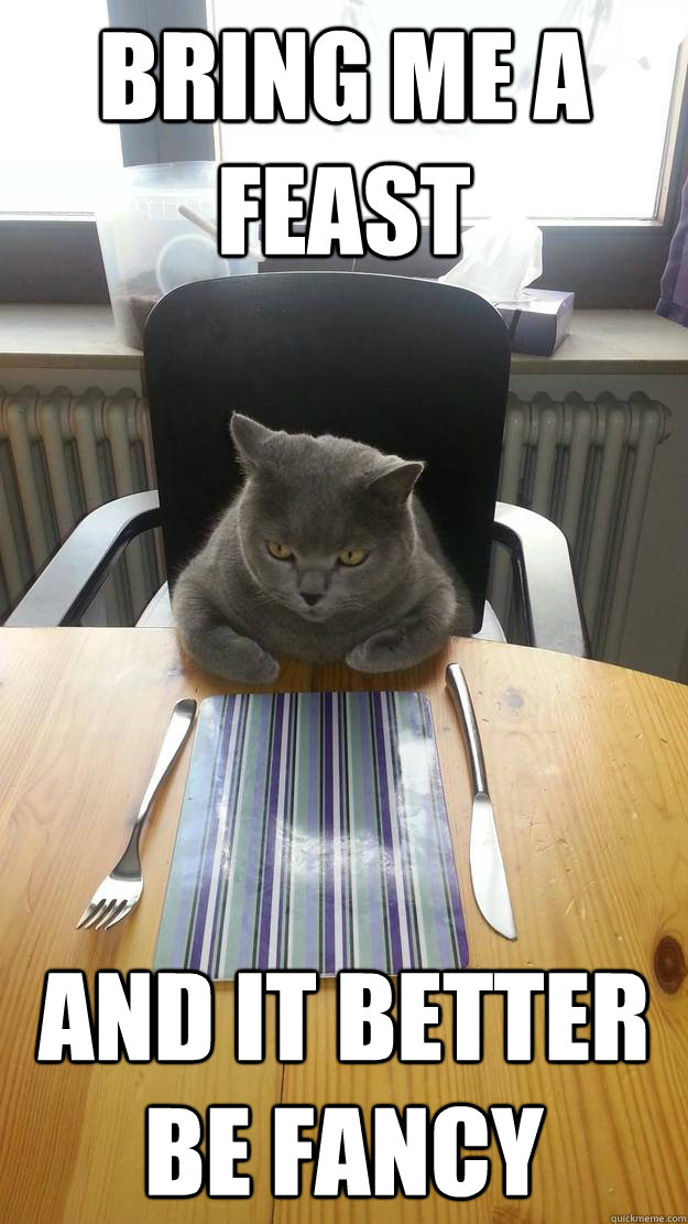 Bring me a feast and it better be fancy  Hungry Cat