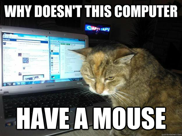 why doesn't this computer have a mouse  
