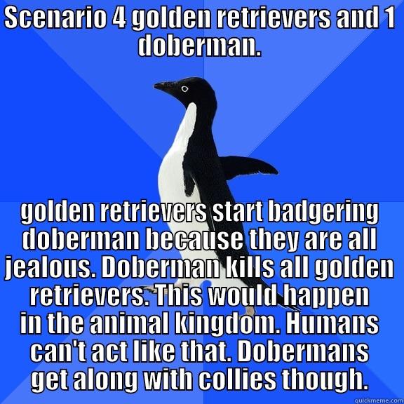 SCENARIO 4 GOLDEN RETRIEVERS AND 1 DOBERMAN. GOLDEN RETRIEVERS START BADGERING DOBERMAN BECAUSE THEY ARE ALL JEALOUS. DOBERMAN KILLS ALL GOLDEN RETRIEVERS. THIS WOULD HAPPEN IN THE ANIMAL KINGDOM. HUMANS CAN'T ACT LIKE THAT. DOBERMANS GET ALONG WITH COLLIES THOUGH. Socially Awkward Penguin
