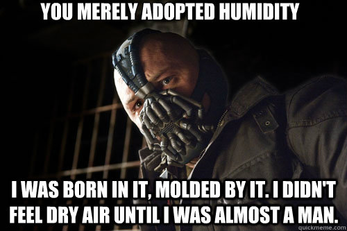 you merely adopted humidity i was born in it, molded by it. I didn't feel dry air until I was almost a man.  Bane
