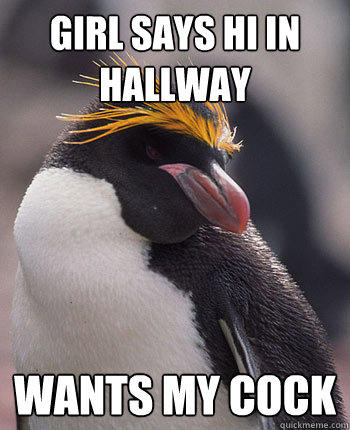 Girl says hi in hallway Wants my cock - Girl says hi in hallway Wants my cock  Socially Overconfident Penguin