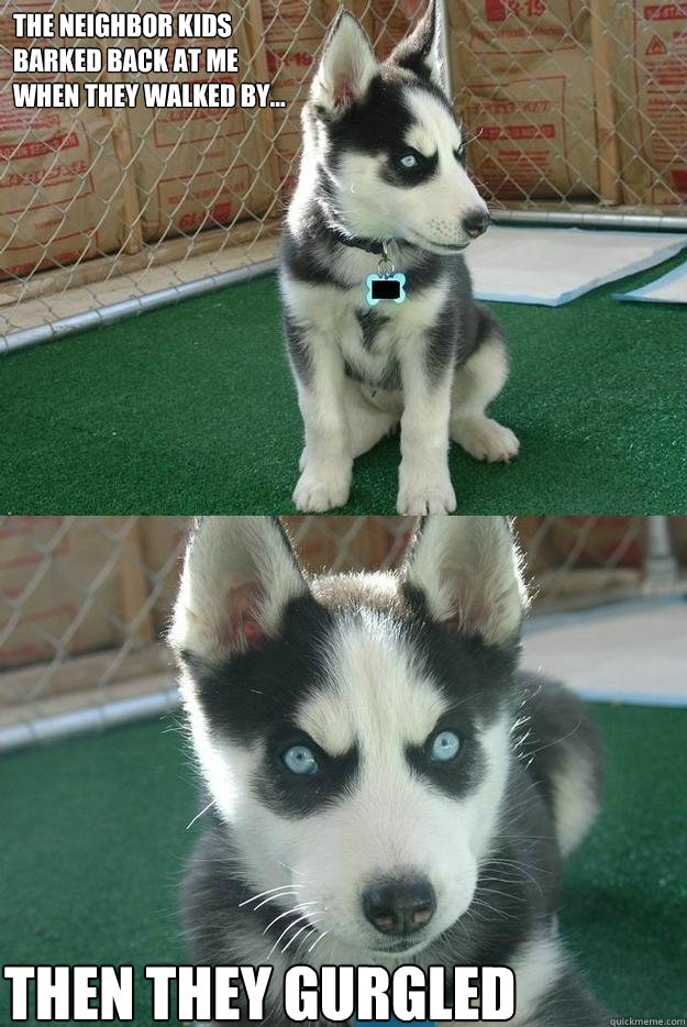 The neighbor kids
barked back at me
when they walked by... then they gurgled  Insanity puppy