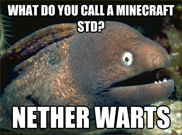 What do you call a minecraft STD? Nether Warts - What do you call a minecraft STD? Nether Warts  Bad Joke Eel